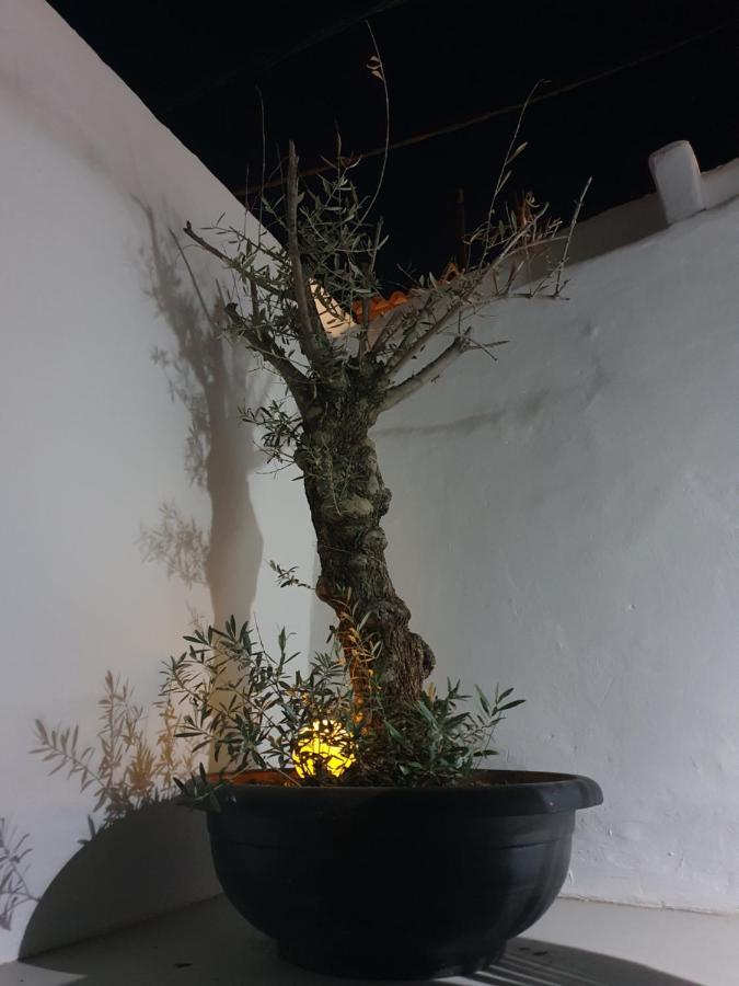 הוילה אלתיאה Casa Delaluz מראה חיצוני תמונה